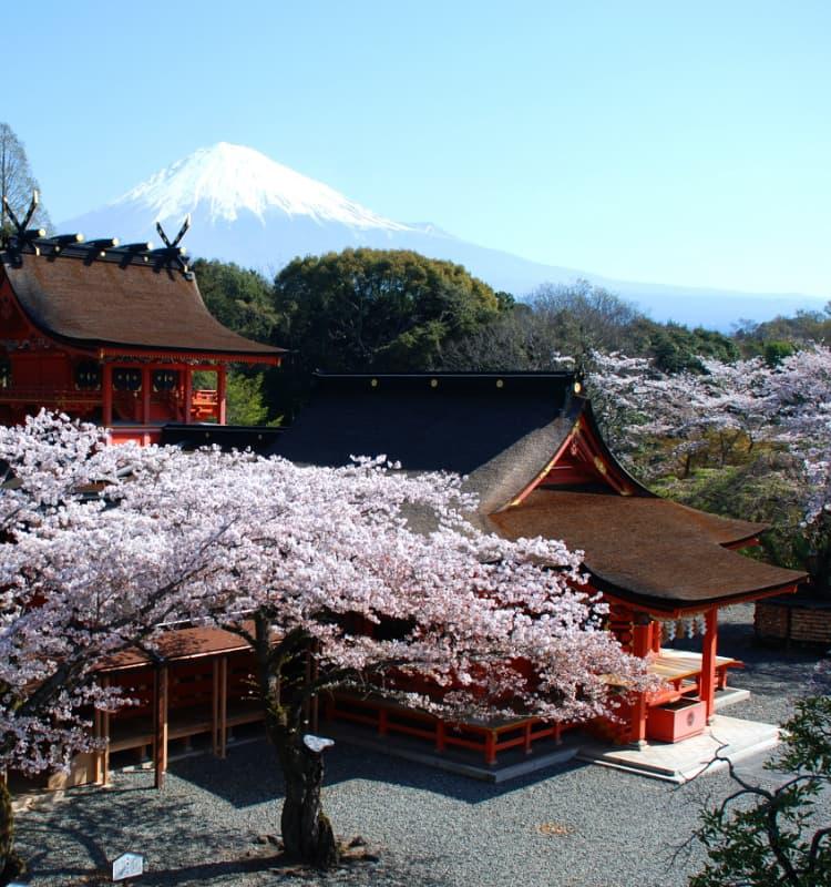 富士山本宮浅間大社