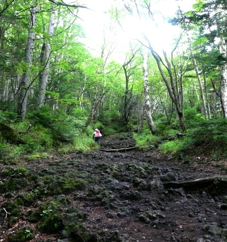須走口登山道